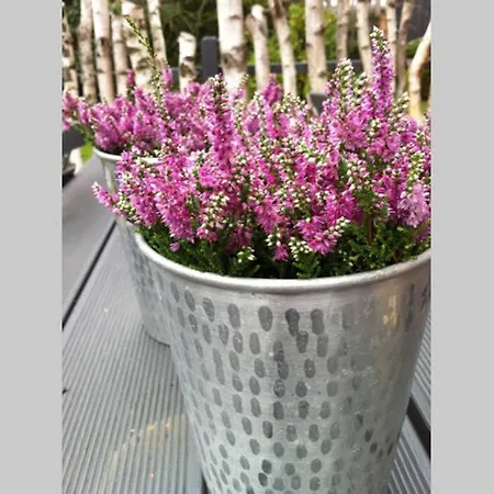 Huuske - Besondere Hébergement de vacances