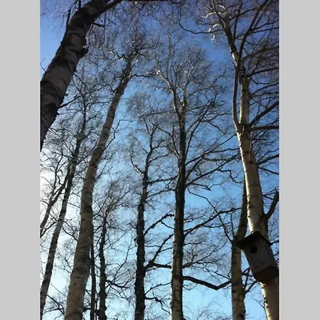 Huuske - Besondere Hébergement de vacances