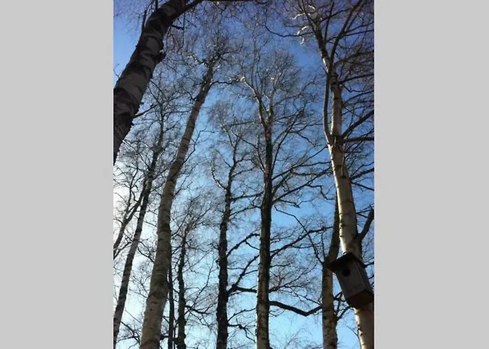 Huuske - Besondere 度假居